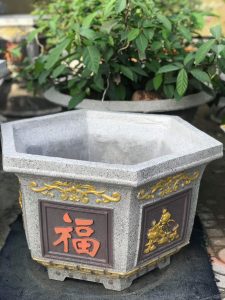 khuon chau canh luc giac