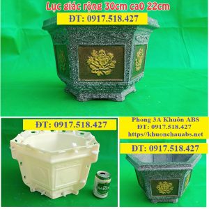 Khuôn chậu cảnh lục giác rộng 30cm
