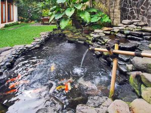 thi-cong-ho-ca-koi-binh-duong