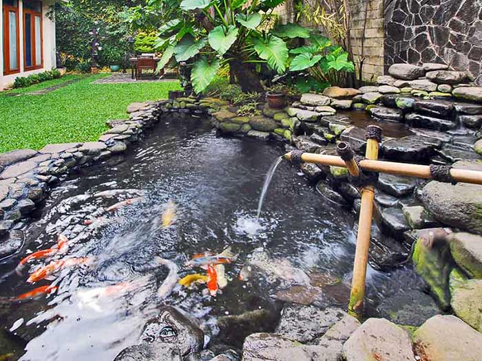 thi-cong-ho-ca-koi-binh-duong