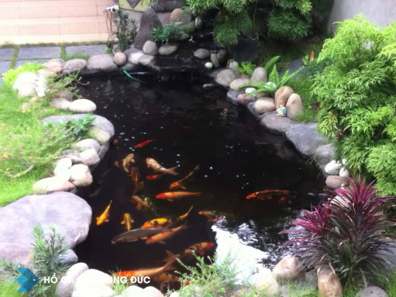 thi-cong-ho-ca-koi-binh-duong